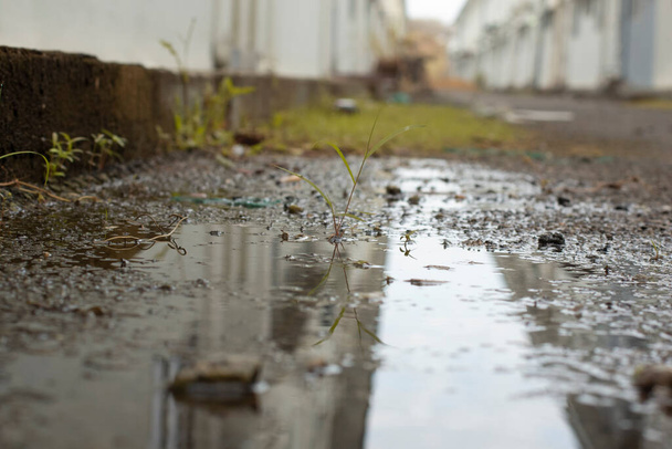 stagnant pool of water scene after rain at the suburb asphalt street  - Foto, Imagen