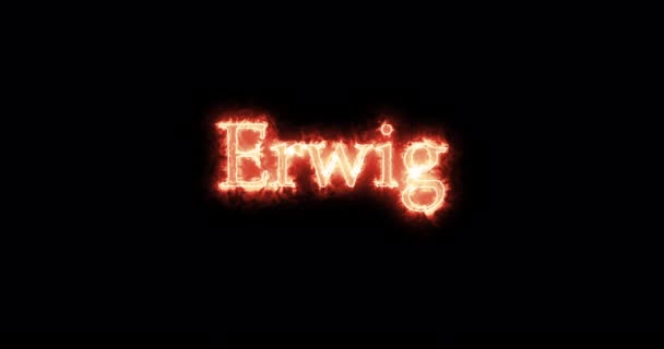 Erwig, a vizigótok királya, tűzzel írva. Hurok - Felvétel, videó
