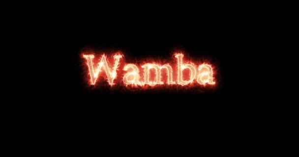 Wamba, visigoottien kuningas, kirjoitettu tulella. Silmukka - Materiaali, video
