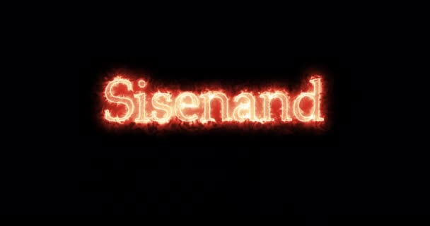 Sisenand, a vizigótok királya, tűzzel írva. Hurok - Felvétel, videó