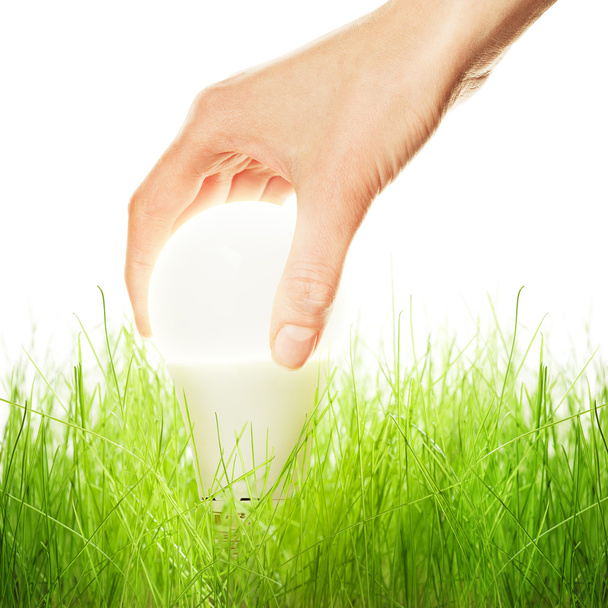 Lampa LED w zielonej trawie - Zdjęcie, obraz