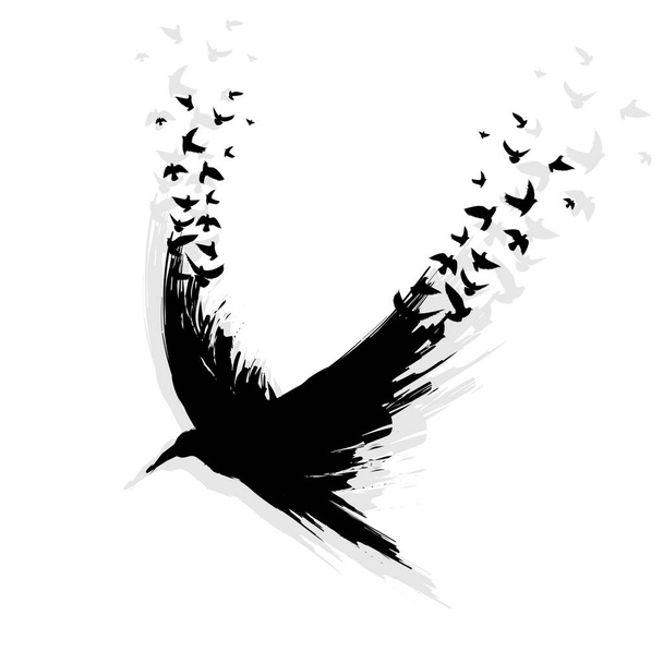 Black grunge brush raven silhouette isolated on white background with different flying birds - Vector, Image