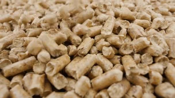Pellets compressed organic matter or biomass. Ecological heating, renewable energy - Video
