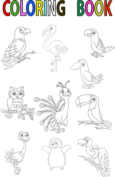 Libro para colorear de aves de dibujos animados
 - Vector, Imagen