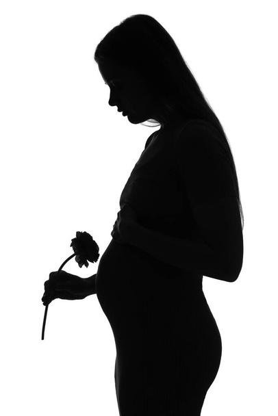 Silhouette of young pregnant woman with flower on white background - Zdjęcie, obraz