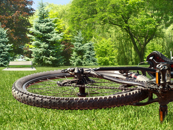 Bike wheel - Fotografie, Obrázek