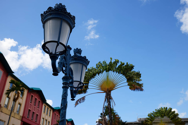 Blue sky, palms and street lamp in Fort de France, Martinique Island. Fort de France is the capital of Martinique island, French West Indies. - Fotoğraf, Görsel
