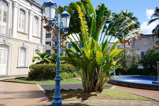 Blue sky, palms and street lamp in Fort de France, Martinique Island. Fort de France is the capital of Martinique island, French West Indies. - Zdjęcie, obraz