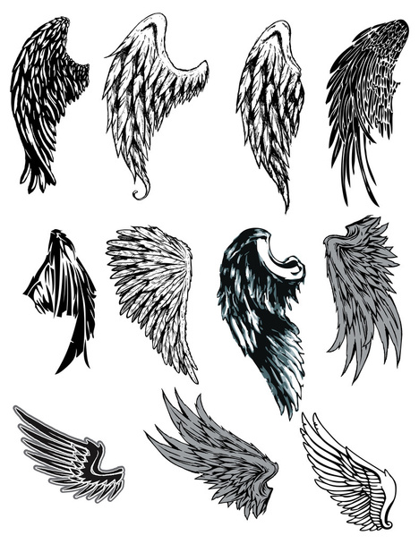 Vector set of hand drawn wings - Vector, Image