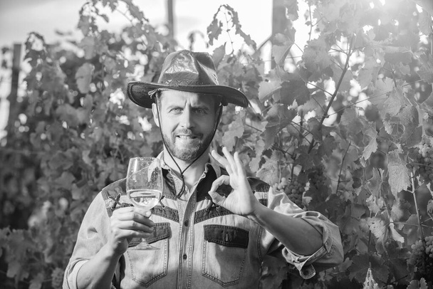 sommelier. farmer drink wine. cheers. vinedresser drinking. male vineyard owner. professional winegrower on grape farm. bearded man in hat with wine glass. ok. enologist with wineglass. - Photo, Image