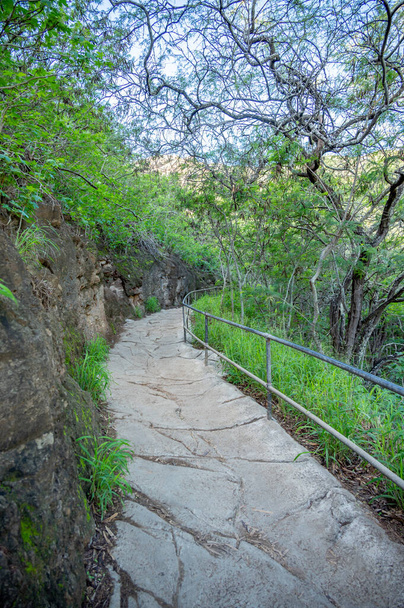 View of the hiking path inside the Diamond Head crater at Diamond Head State Monument. - Valokuva, kuva