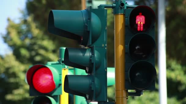 Traffic light sequence - Footage, Video