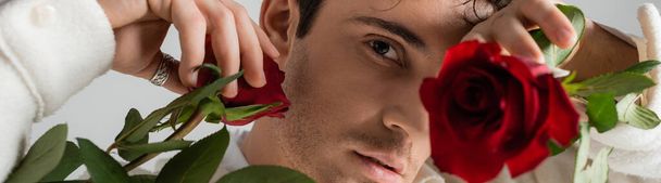 portrait of man obscuring face with red rose and looking at camera on blurred foreground isolated on grey, banner - Foto, afbeelding