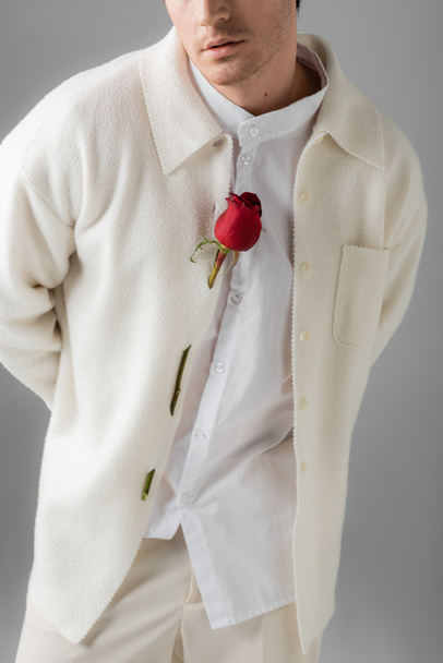 обрізаний вид чоловіка в білій сорочці і піджак, прикрашений червоною трояндою, що стоїть з руками позаду ізольовані на сірому
 - Фото, зображення