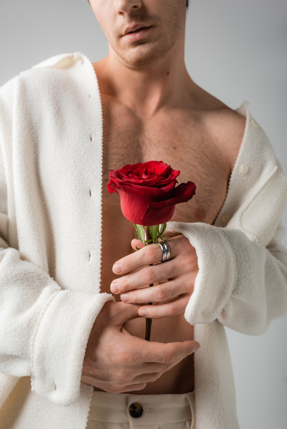 cropped view of man in white jacket on shirtless body holding red rose isolated on grey - Фото, зображення