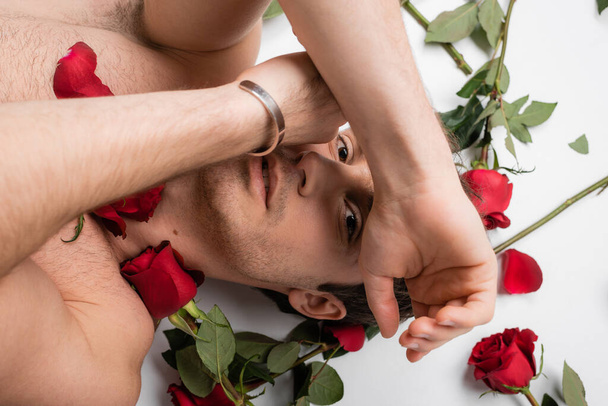 top view of shirtless man in silver bracelet looking at camera while lying near red roses on white background - Fotoğraf, Görsel