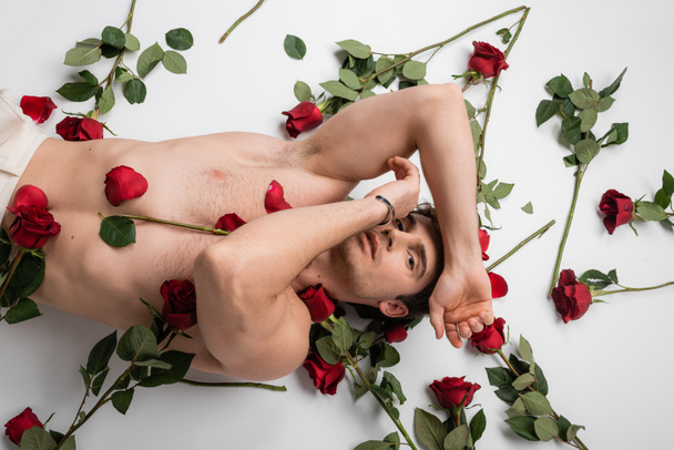 顔の近くに手を置いて横になって白い背景に赤いバラの近くのカメラを見ているセクシーな白人男性のトップビュー - 写真・画像
