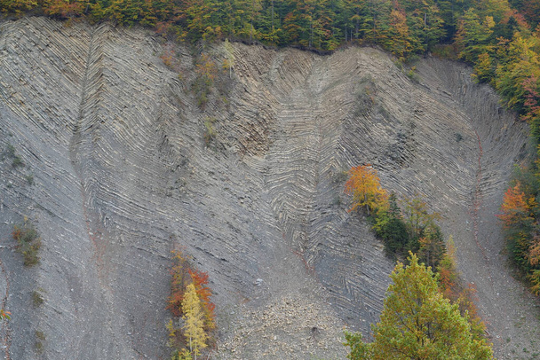 Геологические горные складки в Яремче, Украина, известные как складки Яремче - крупнейший обнажение Стрыйского образования в Европе. Здесь скалы этой формации сложены и разломаны, готические или шевронные типы - Фото, изображение