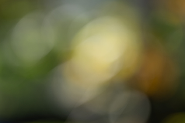 artistic colorful blurred background, with round plastic bokeh - Foto, Bild