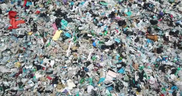 Műanyag palackok és egyéb műanyag-, üveg- és szerves anyagok hulladéka a hulladéklerakóban. A hulladékfeldolgozás és -ártalmatlanítás szükségessége - Felvétel, videó