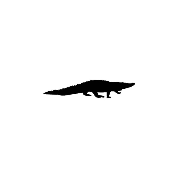 Crocodile icon. Simple style zoology science poster background symbol. Crocodile brand logo design element. Crocodile t-shirt printing. vector for sticker. - Vector, Imagen