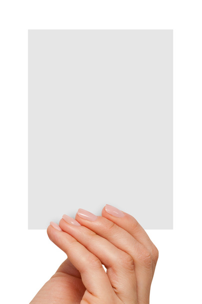 fingers holding a blank white card - Foto, afbeelding