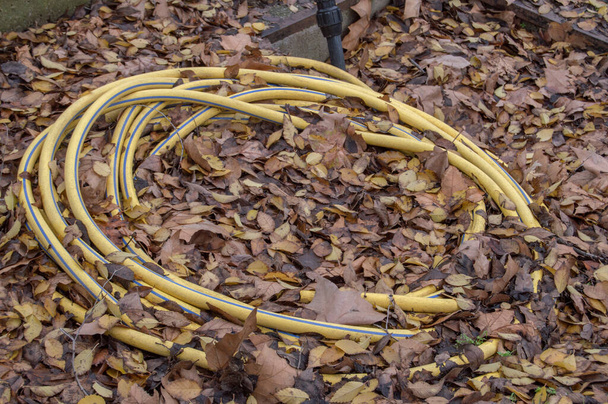 background with dry leaves and yellow coiled hose for watering - Fotoğraf, Görsel