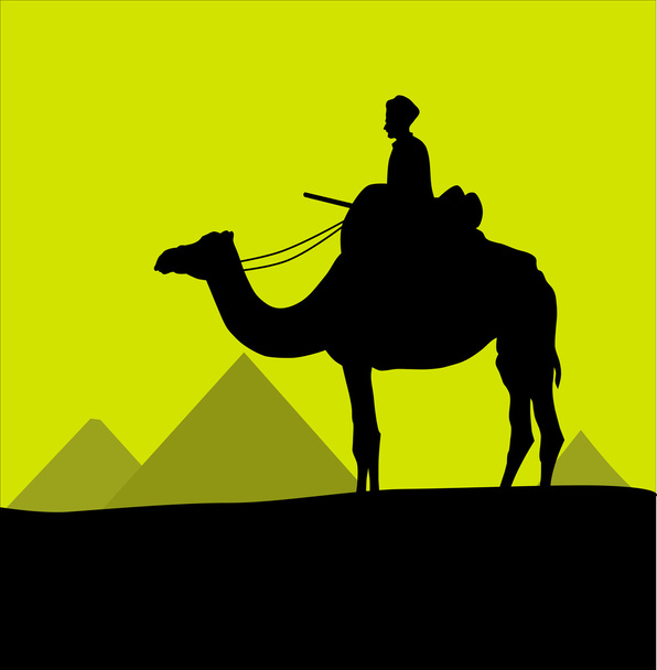 Camelo e pirâmides - Vetor, Imagem
