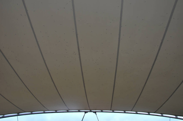 weiße Plane gespannt, Schatten vor Sonne und Regen über der Terrasse des Restaurants, auf dem Spielplatz im Kindergarten, auf dem Bahnsteig. nur ein Mast und straffe Seile fest an den Enden befestigt - Foto, Bild