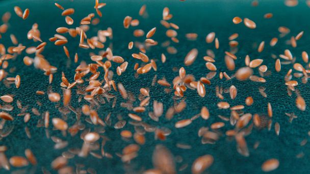 MACRO, DOF: Cinematic shot of a handful of tiny flax seeds gets scattered across a polished kitchen countertop. Reddish brown organic flaxseeds fall down and bounce around the shiny dining table. - Photo, Image