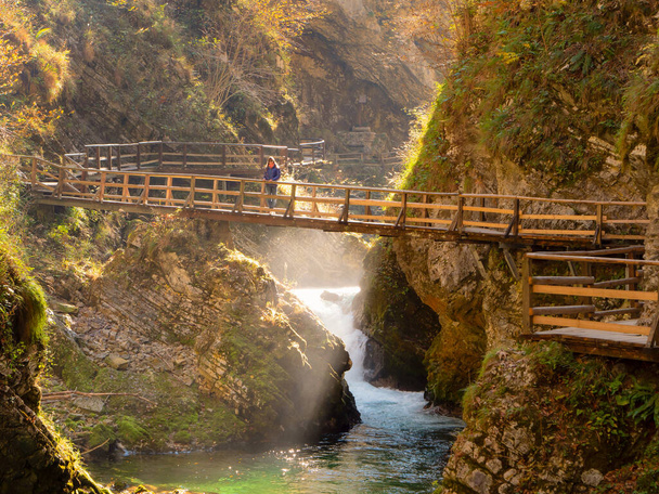 Woman crossing wooden bridge over Radovna river in amazing Vintgar Gorge in fall. Stunning color palette of autumn foliage above green river. Breath-taking autumn tourist destination in deep canyon. - Zdjęcie, obraz