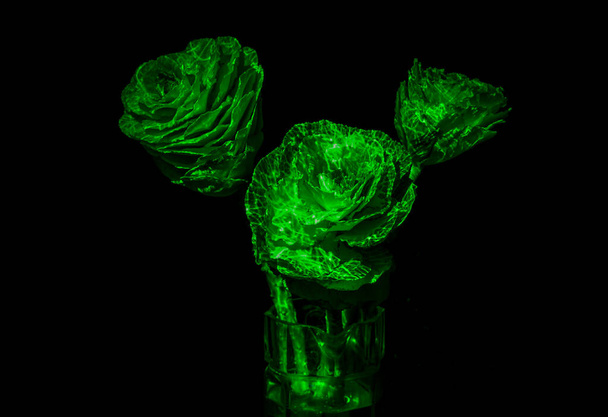 Bouquet of decorative cabbage brassica in neon light - Foto, imagen