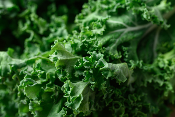 Green Kale or leaf cabbage texture background, healthy vegetable - Foto, Imagem