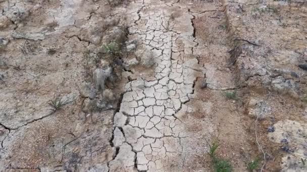 ξηρή γη ρωγμών στη γεωργική γη λόγω της ξηρασίας.  - Πλάνα, βίντεο