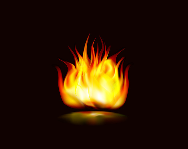 Flame icon vector fire with reflection - Vector, Image