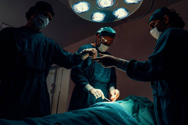 Zespół chirurgiczny wykonujący operację pacjentowi na sterylnej sali operacyjnej. W sali operacyjnej oświetlonej lampą, profesjonalny i pewny siebie zespół chirurgiczny zapewnia opiekę medyczną nieprzytomnemu pacjentowi. - Zdjęcie, obraz
