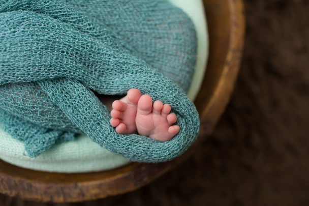 Newborn in a Bowl, Macro of Toes , Feet - Photo, Image