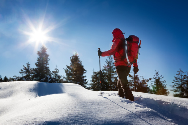 Μια trekker, περπάτημα στο χιόνι, παίρνει ένα υπόλοιπο για να θαυμάσετε το ΠΑΝΩ - Φωτογραφία, εικόνα