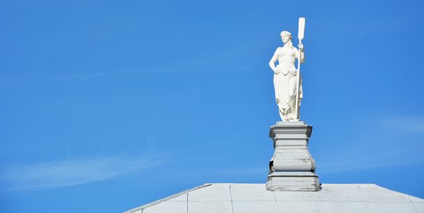 Statua bianca sul tetto
 - Foto, immagini