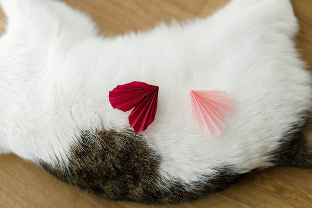 猫の毛皮の上にかわいい赤とピンクの心、トップビュー。可愛い子猫のヘルパーとバレンタイン休暇の準備。ハッピーバレンタインデー!ペットと愛の概念 - 写真・画像