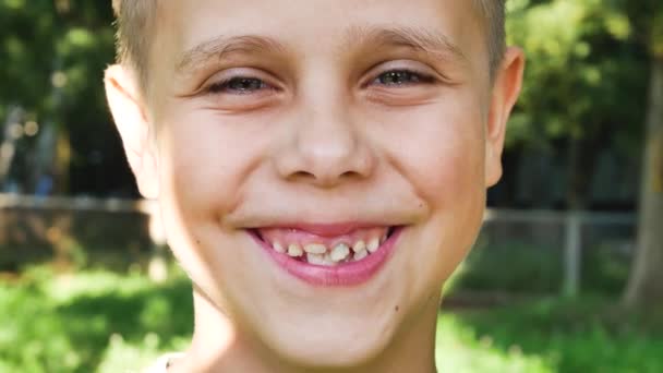 Söpön hymyilevän 7-8-vuotiaan pojan muotokuva. Lähikuvakuva pojasta. Taustalla on puiston kesävehreys - Materiaali, video