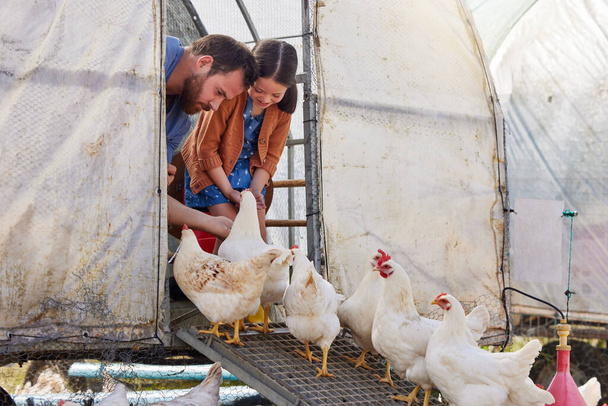 Farming teaches kids where food come from. a young girl helping her father on their poultry farm - Foto, afbeelding