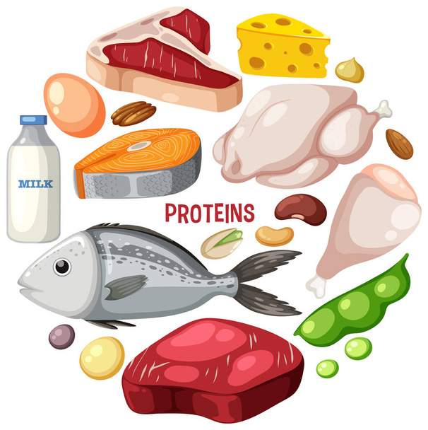 Variety of protein meats with text illustration - Vektor, kép