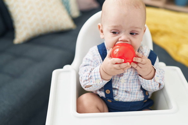 Adorable caucasian baby sucking ball sitting on highchair at home - Photo, Image
