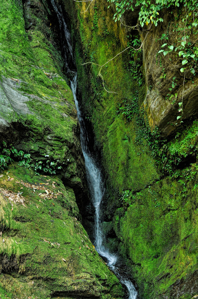 groen waterval - Foto, afbeelding