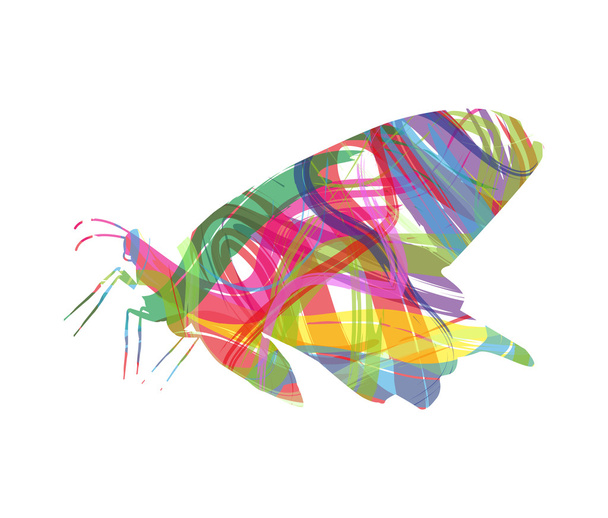Abstract  butterfly - Vector, Image