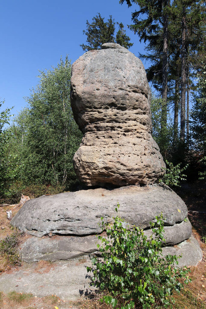 石のキノコ-ブロウモフ壁の岩の形成(ブロウモフステンシー),山脈と自然保護区,チェコ共和国のテーブル山の一部 - 写真・画像
