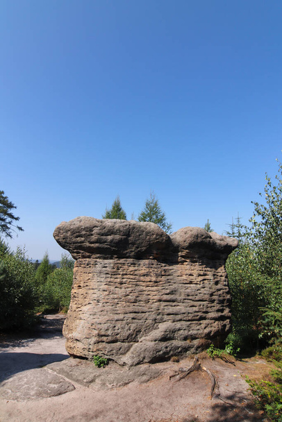 石のキノコ-ブロウモフ壁の岩の形成(ブロウモフステンシー),山脈と自然保護区,チェコ共和国のテーブル山の一部 - 写真・画像