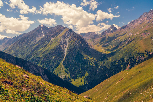 キルギスタンの緑の渓谷 - 写真・画像