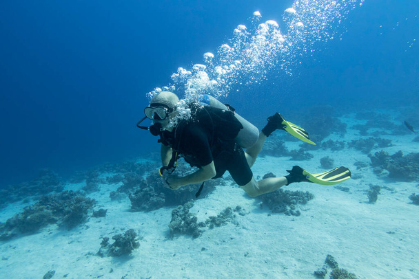 Single scuba diver with the equipment over colorful coral reef on the bottom of tropical sea, underwater landcape - Photo, image
